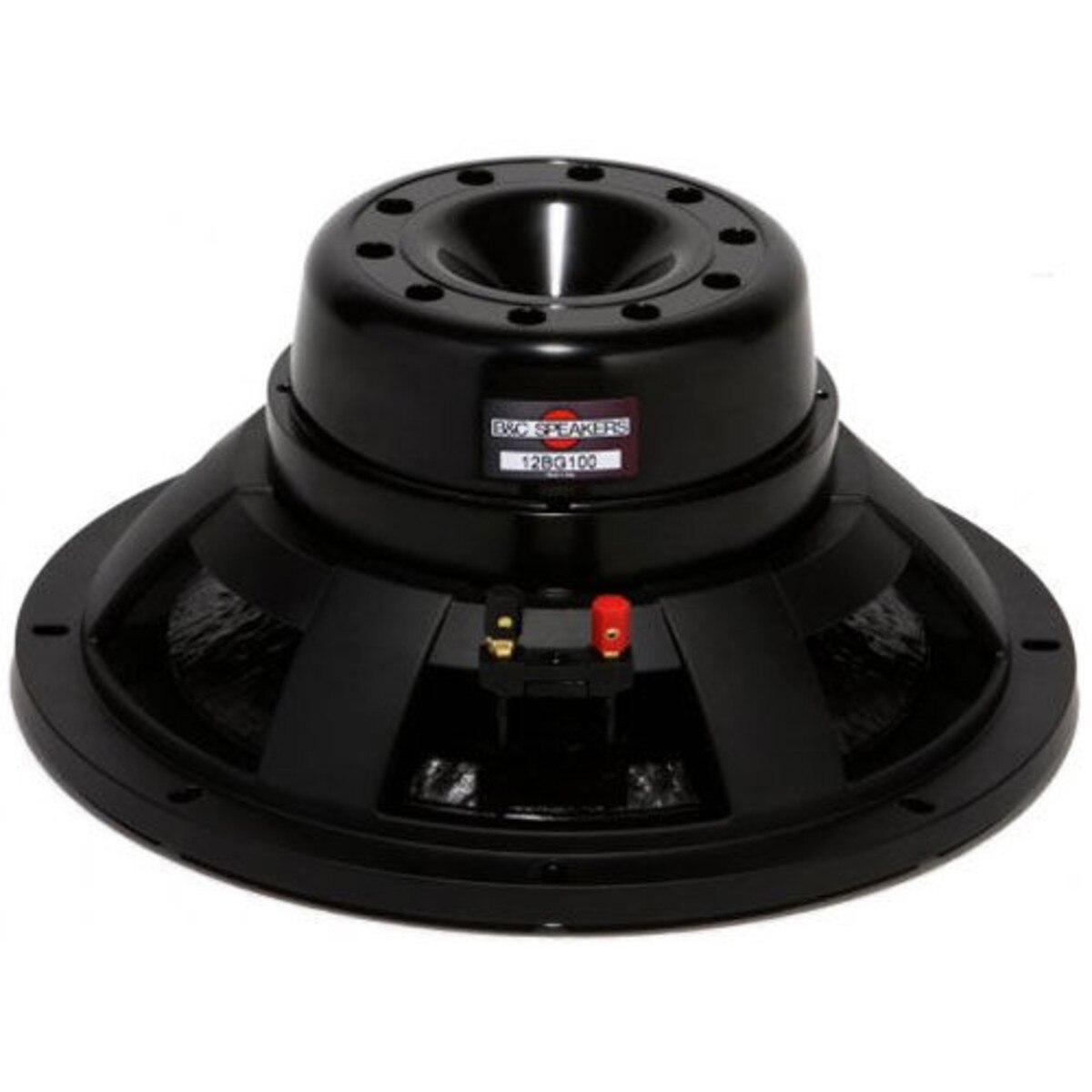 B&C 12BG100 12" Neodymium Subwoofer